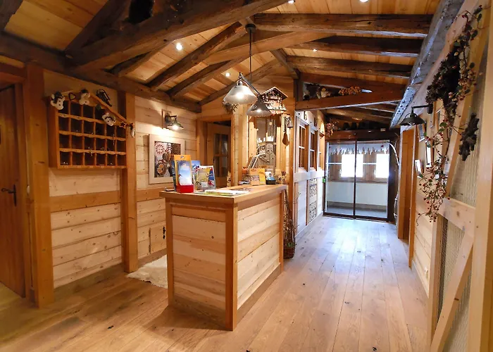 Cote Brune Otel Les Deux Alpes